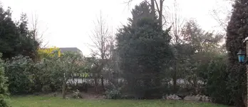 2014 hecke2.webp