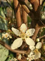 CIMG6909.webp