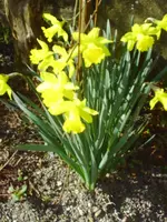 PICT0009.webp