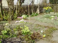 PICT0018.webp