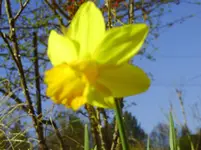 PICT0029.webp