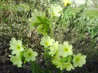 PICT0032.webp