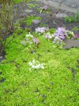 PICT0044.jpg
