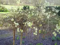 PICT0049.webp