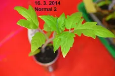 DSC_8650 Normal 2 - Kopie.webp