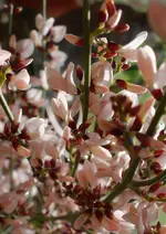 Mrz14 (3).webp
