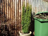 SAM_3213.webp