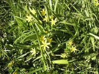 BILD2634.webp