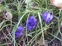 BILD2630.webp