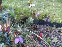 BILD2619.webp