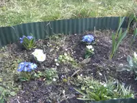 BILD2638.webp