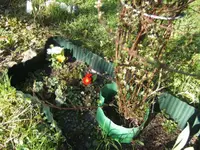 BILD2637.webp