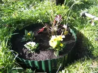 BILD2632.webp