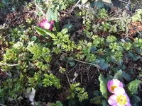 BILD2622.webp