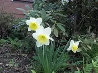 HPIM0304.webp