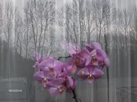 HPIM0309.webp