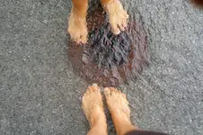 19082011110.webp