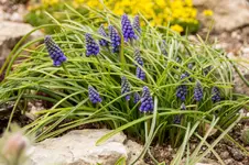 Stg 14-03-18-1248.webp