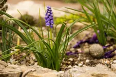 Stg 14-03-18-1243.webp