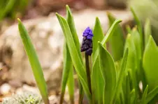 Stg 14-03-18-1239.webp