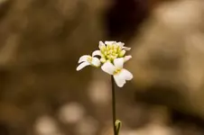 Stg 14-03-18-1241.webp
