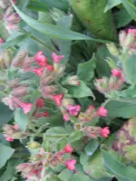 006_576x768.webp