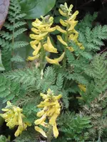 008_576x768.webp