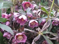 003_1024x768.webp