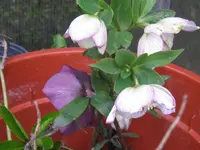 005_1024x768.webp