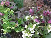 010_1024x768.webp