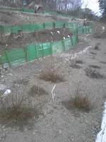 20140318_182536.webp