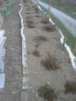 20140318_182406.webp