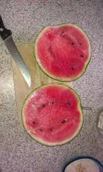 IMAG0423.webp