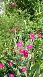 DSCN5090.webp