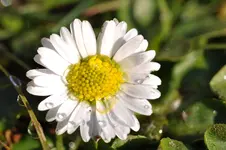 11.webp