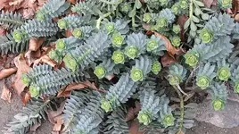 088.webp