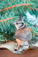 blog_SAM_1264.webp