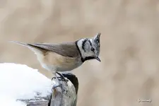 blog_SAM_1272.webp