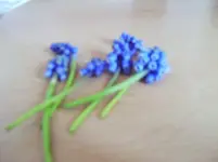 001.webp