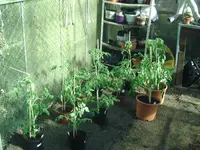 Alte GWH.webp