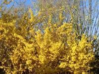 CIMG6929.webp