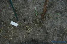 comp_DSC00962.webp