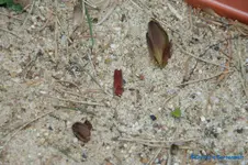 comp_DSC00964.webp