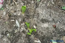 comp_DSC00966.webp