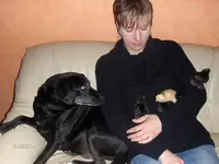 HPIM0320.webp