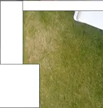 rasen.webp