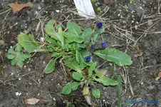 comp_DSC00972.webp