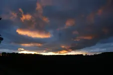 DSC00982.webp