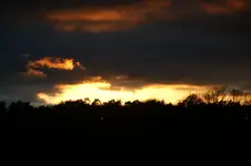 DSC00983.webp