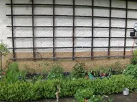 2013-05-29 Tomatenbeet1.webp